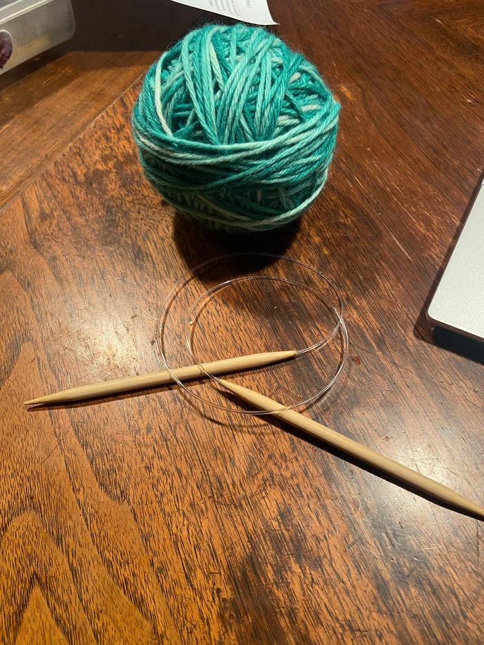 [Thumbnail for 1b_wool-yarn-and-needles-ready-to-cast-on.jpg]