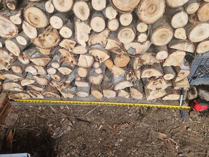 The wood pile is 4ft long, which the sharpie is pointing to