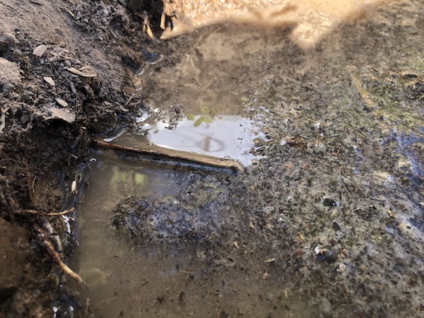 A toothpick marking the water line once the water is in