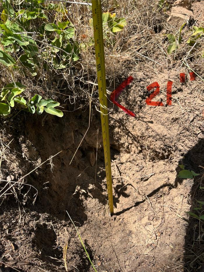 Tiny pond is 21 inches deep