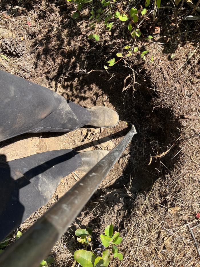 Action shot for of me compacting the soil