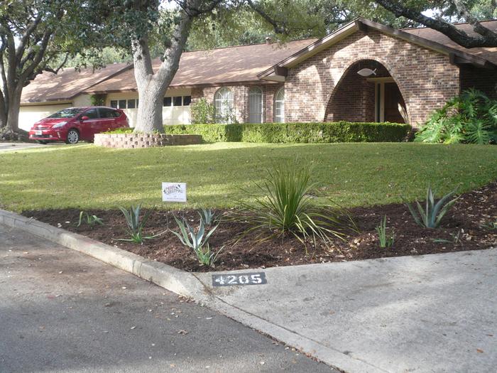 xeriscape with sotol, agave, bearded iris