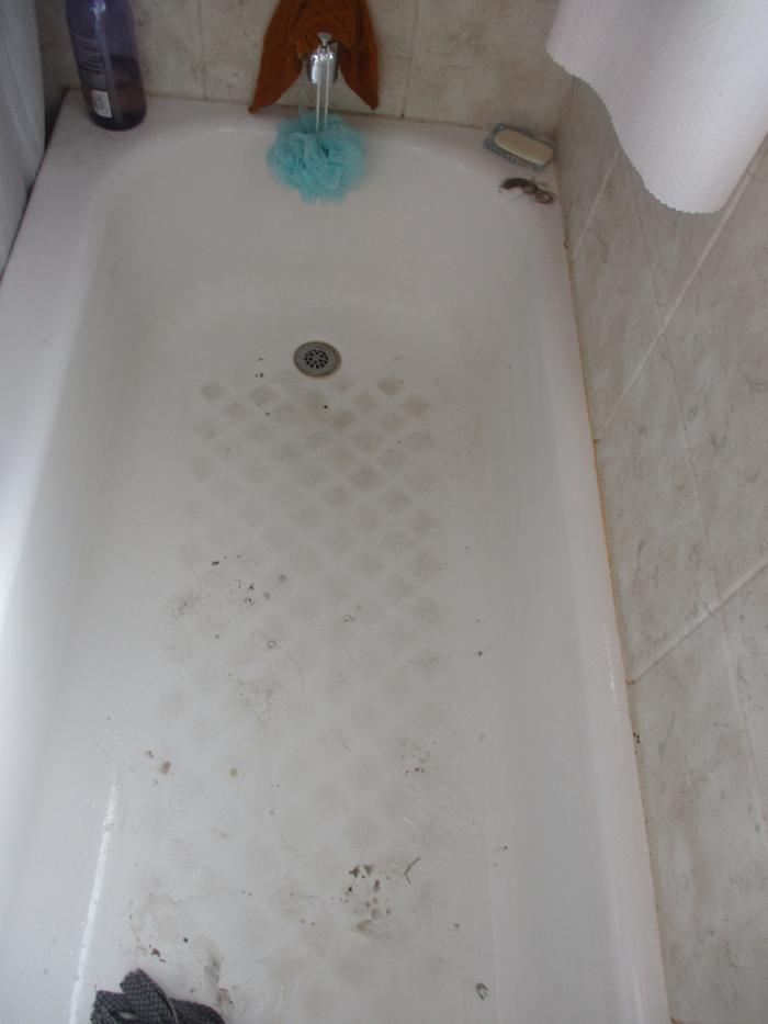 tub before