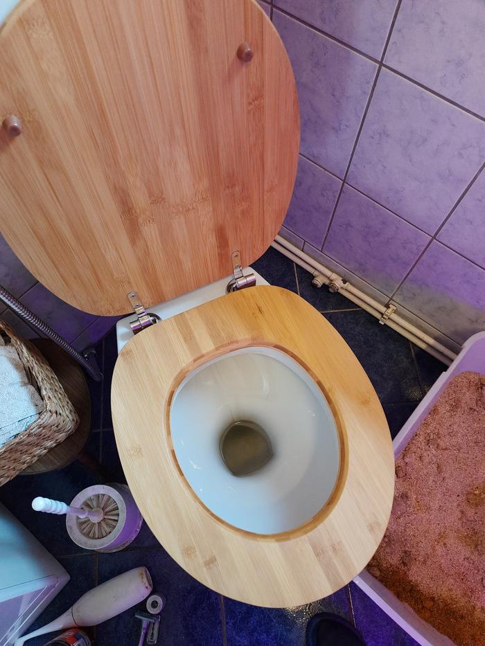 Toilet after with new plastic free seat