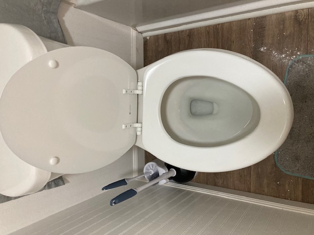 Toilet after