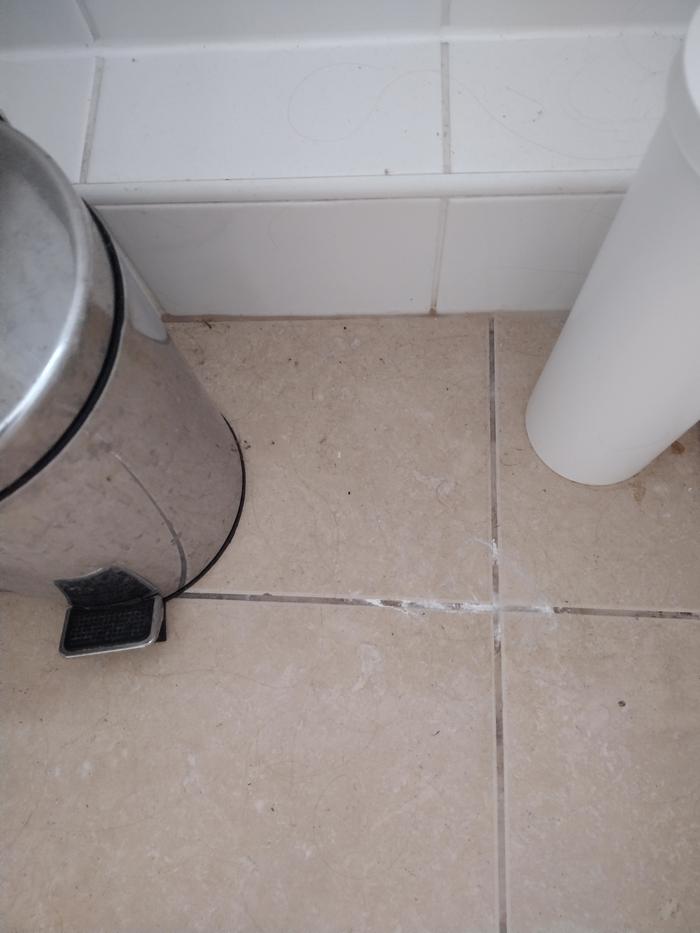 Dirty floor besides toilet