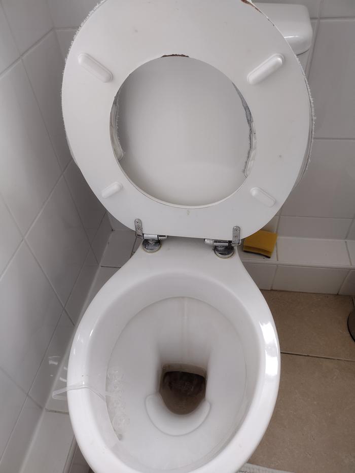 Dirty toilet