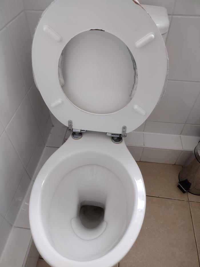 Clean toilet