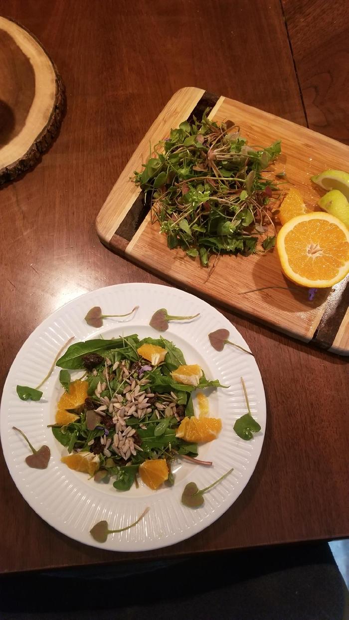 foraged miner's lettuce salad