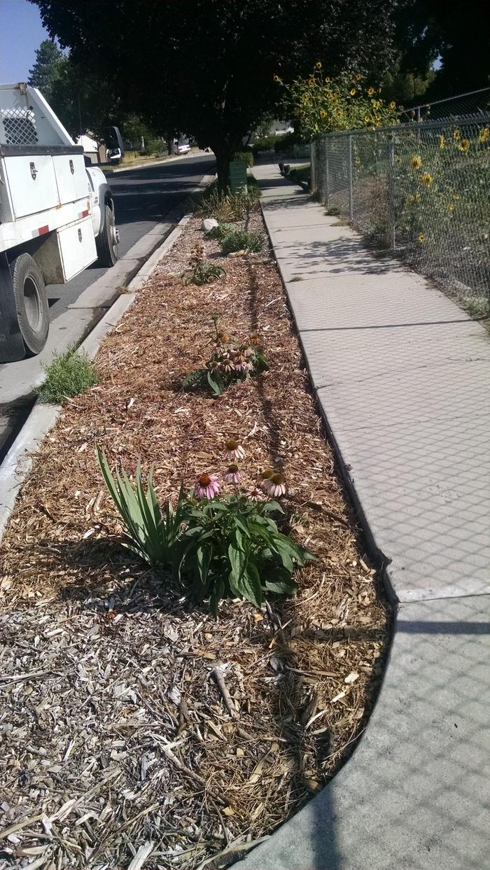 parkstrip for permaculture urban design