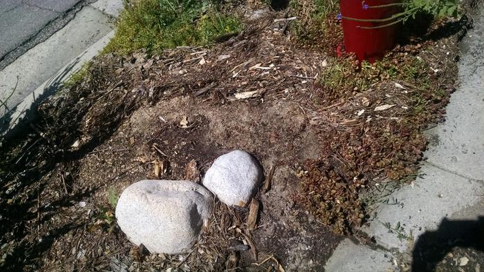 washed away wood chip mulch