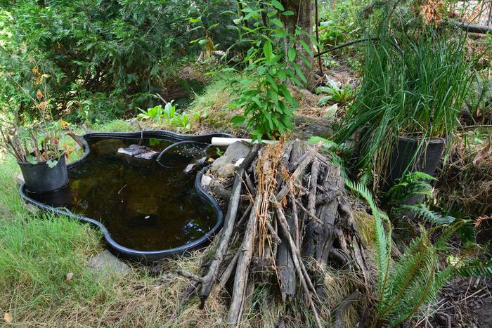 Pond on the left, biofilter on the right. The pile of sticks is for overwintering amphibians. The chunk of wood in the pond is for birds to land on, and pond life to attach to.