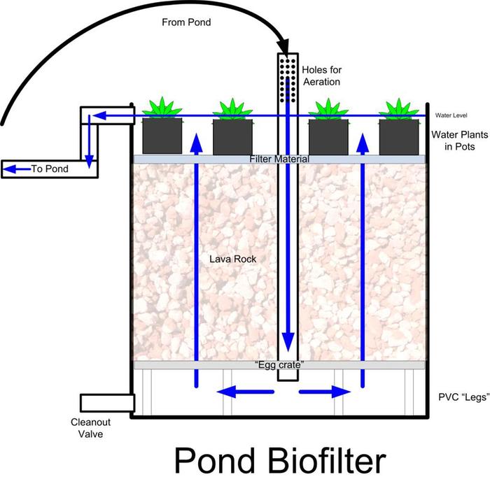 What's going on inside the biofilter