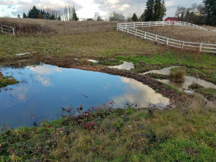 hand dug pond