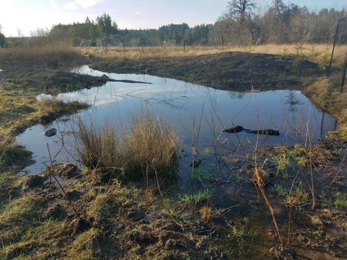 restoration pond overflowing