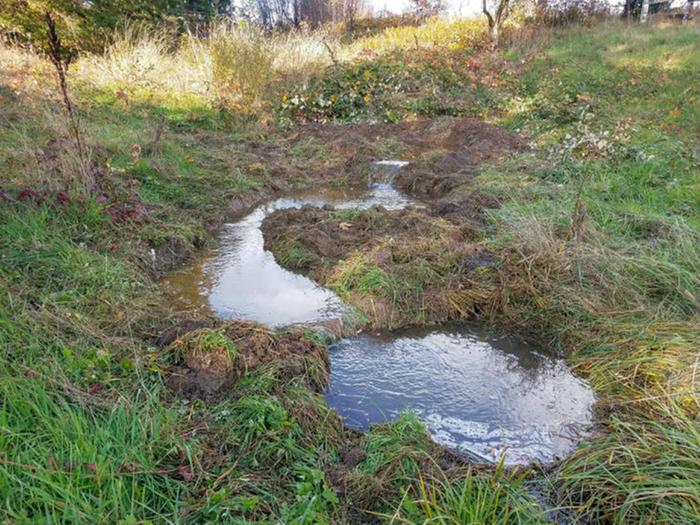 small pools in seasonal stream