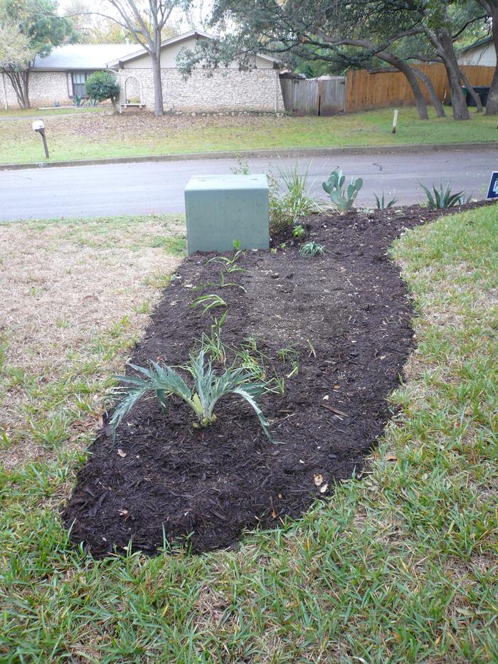 suburban garden design