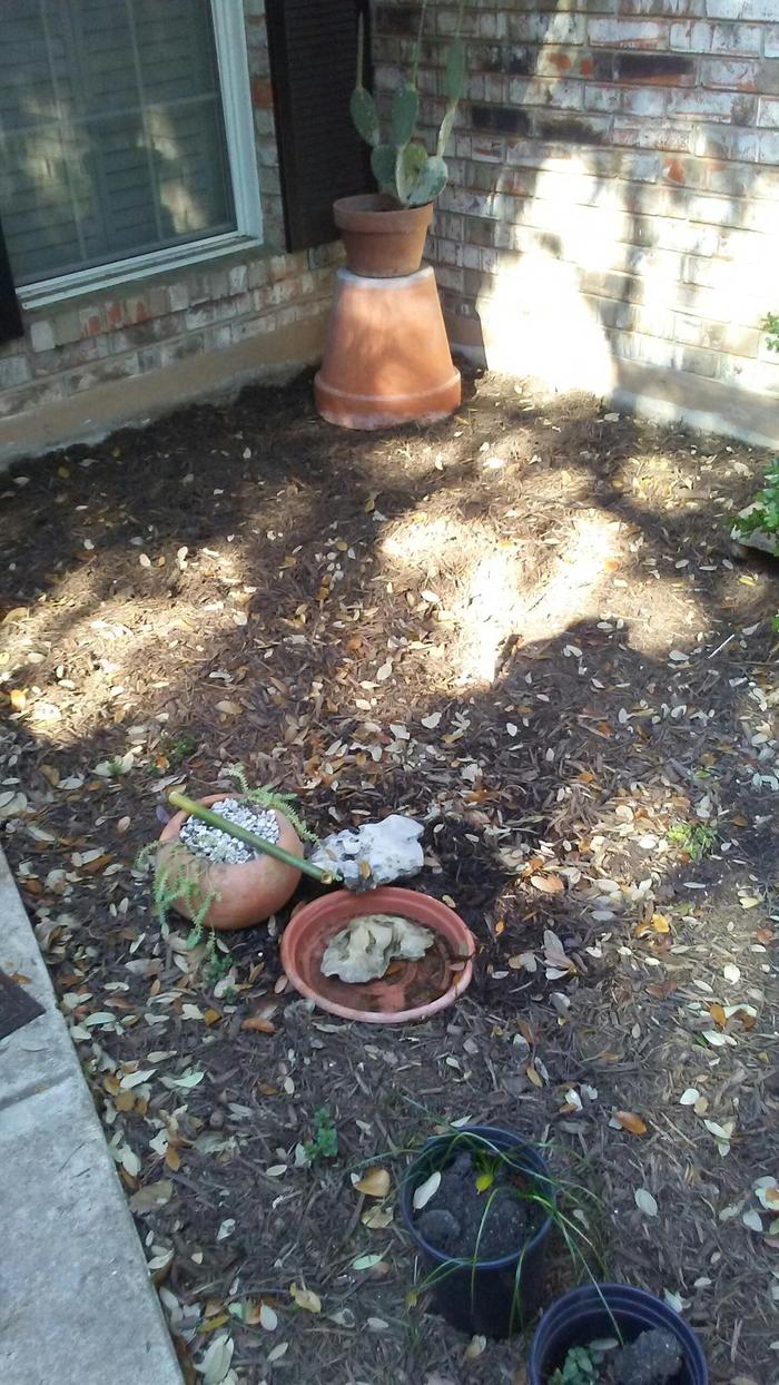 drip fountain in urban pernaculture shade garden