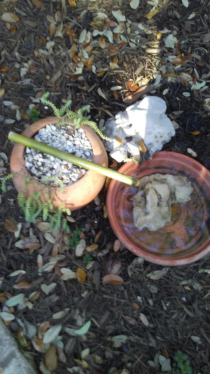 permaculture drip fountain