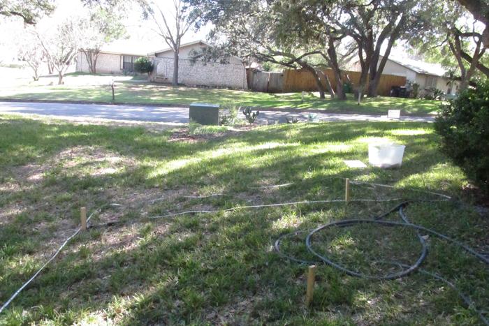 area for future shade garden with fruit trees