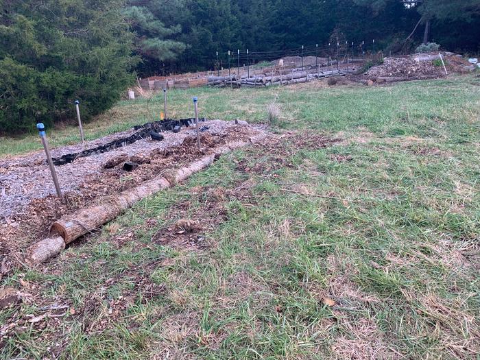 Different raised bed experiments with mushroom logs as walls