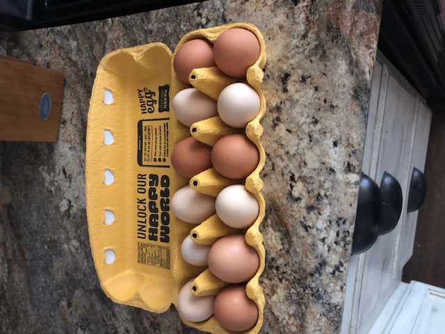 A dozen eggs. variety of colors. My white hens lay white eggs and my neighbors lay brown. Easy to tell the difference