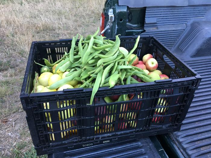 Crescent City Food Forest