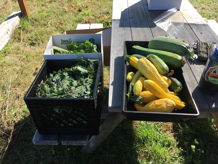 Crescent City Food Forest