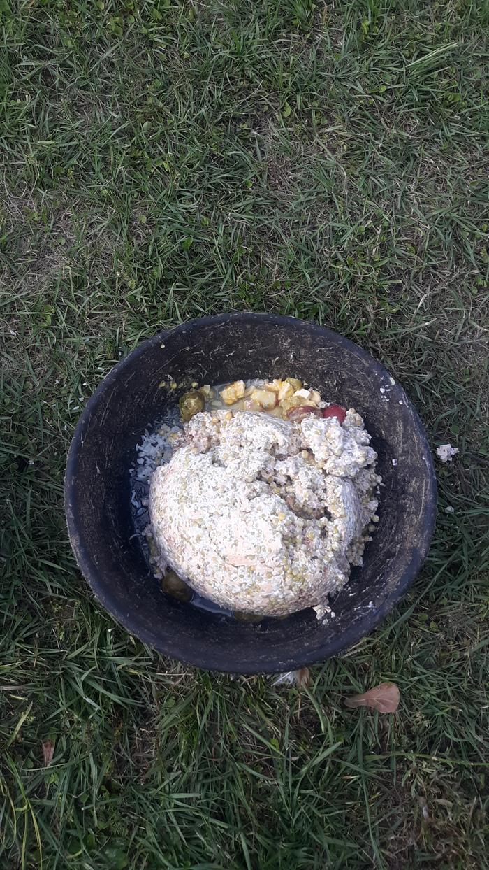 Bowl rinsed and filled.