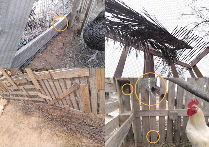 The orange circles show where I found problems. The upper right cornes is part of the roof cover that needs regulare checking. The photo in the lower left corner show the antifox branched-and-dirt system.