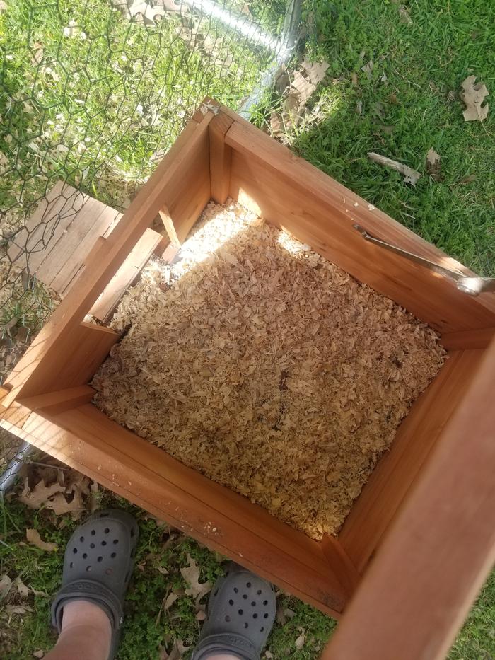 nesting box looks good