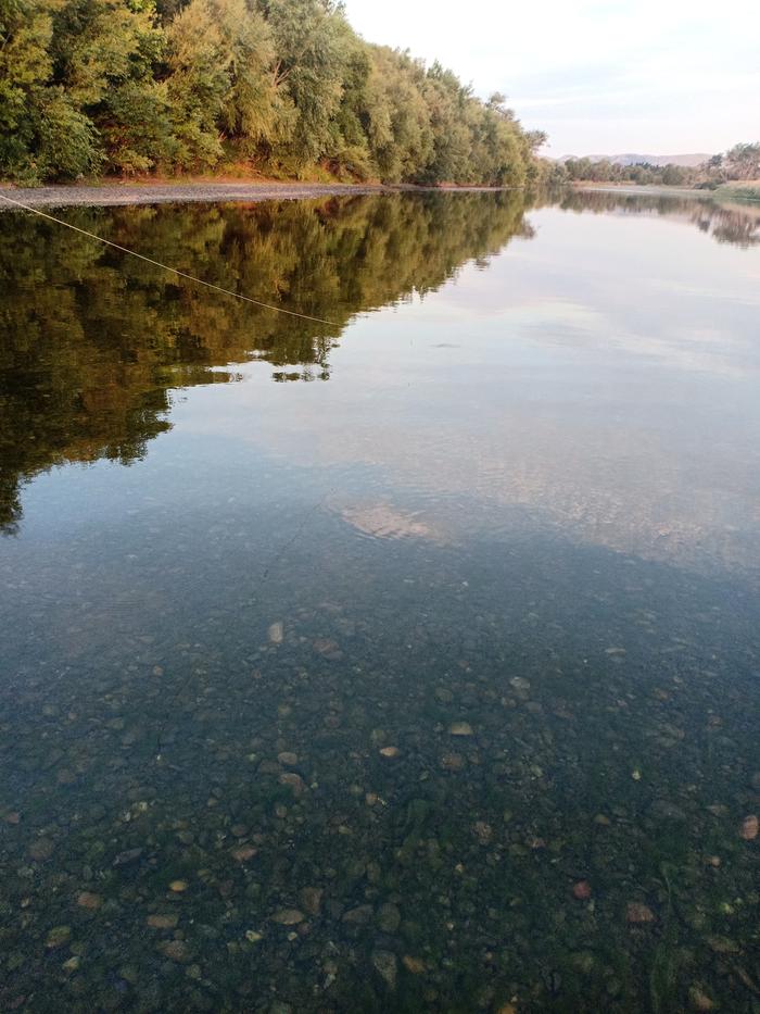 trout fishing on river