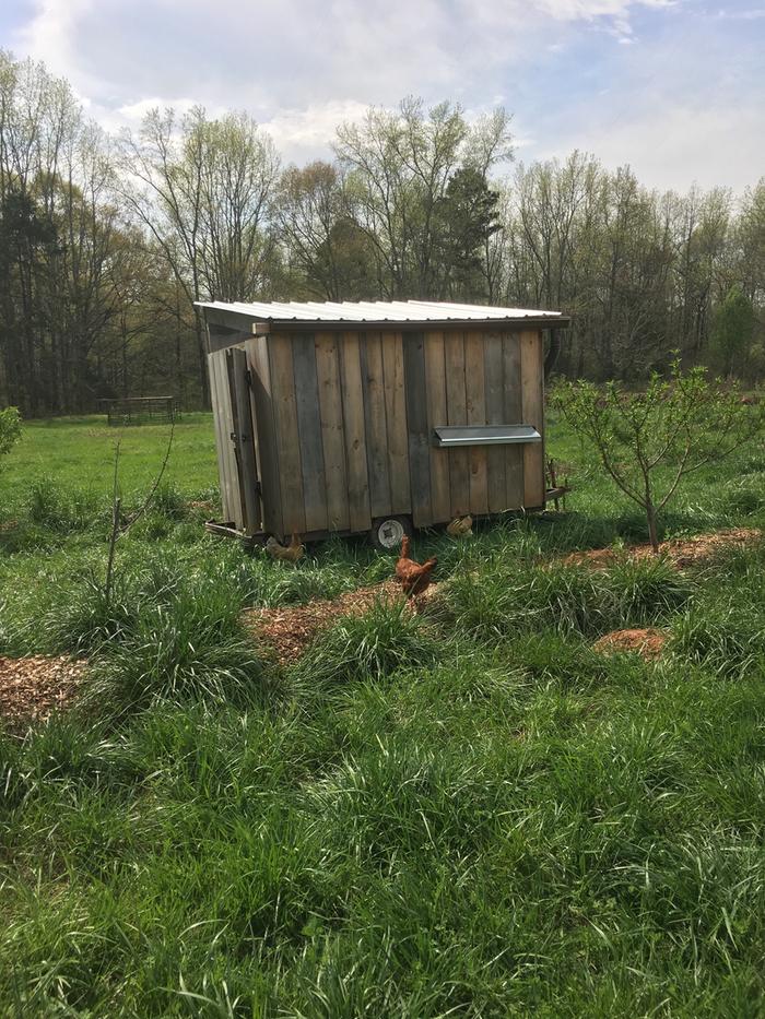 Mobile layer coop - nesting box