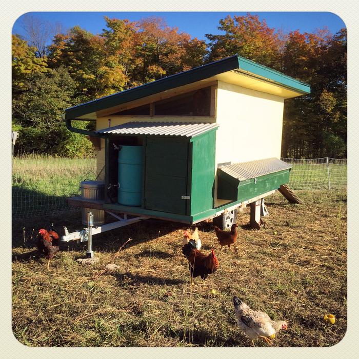 Birdsnest Farm mobile coop for 50ish with outboard water, nest boxes, scratch container... and closet!:) 