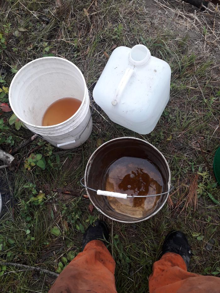 compost tea for Alterton Abbey