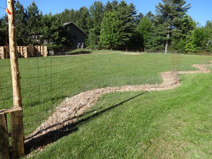 Old gate on the left with the bulk of the food forest stretching to the right