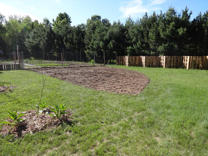 Dead peach (later replaced with apricot) on the left, field planted with corn