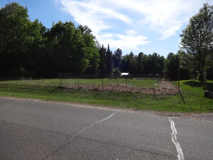 View from opposite end of food forest