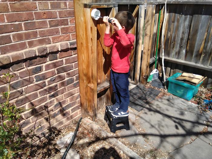 Mason bee house