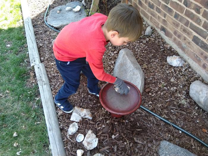 Mason bee watering station