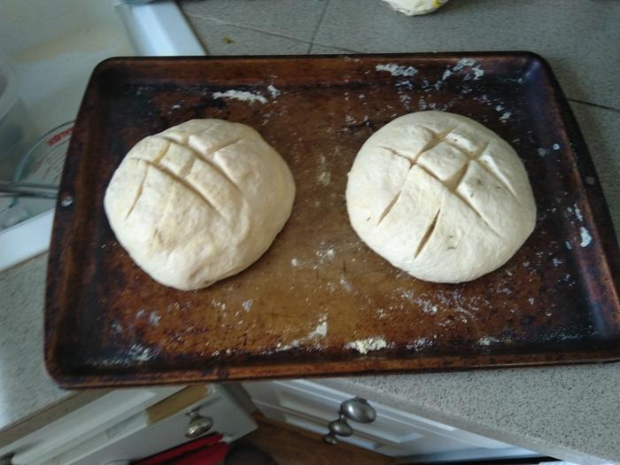 Loaves!