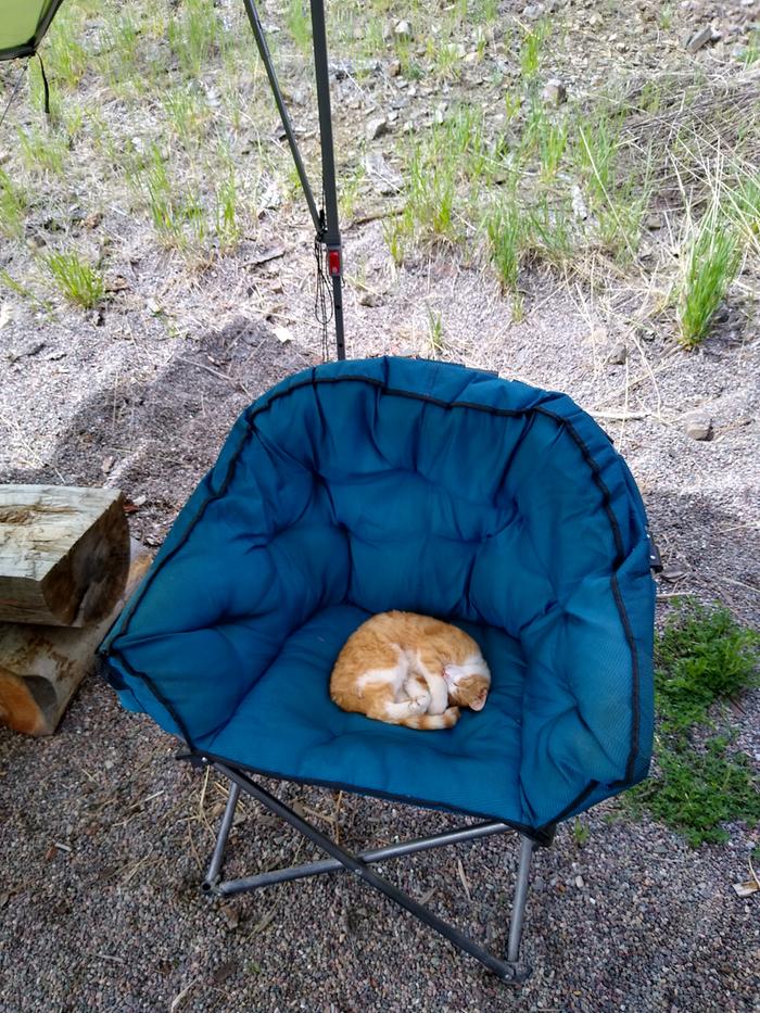 The boots may not sit here much, but Apollo sure enjoys it