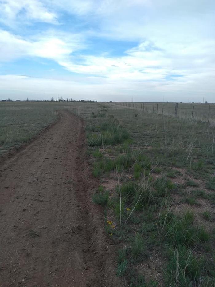 plant strip starting from sainfoin field.