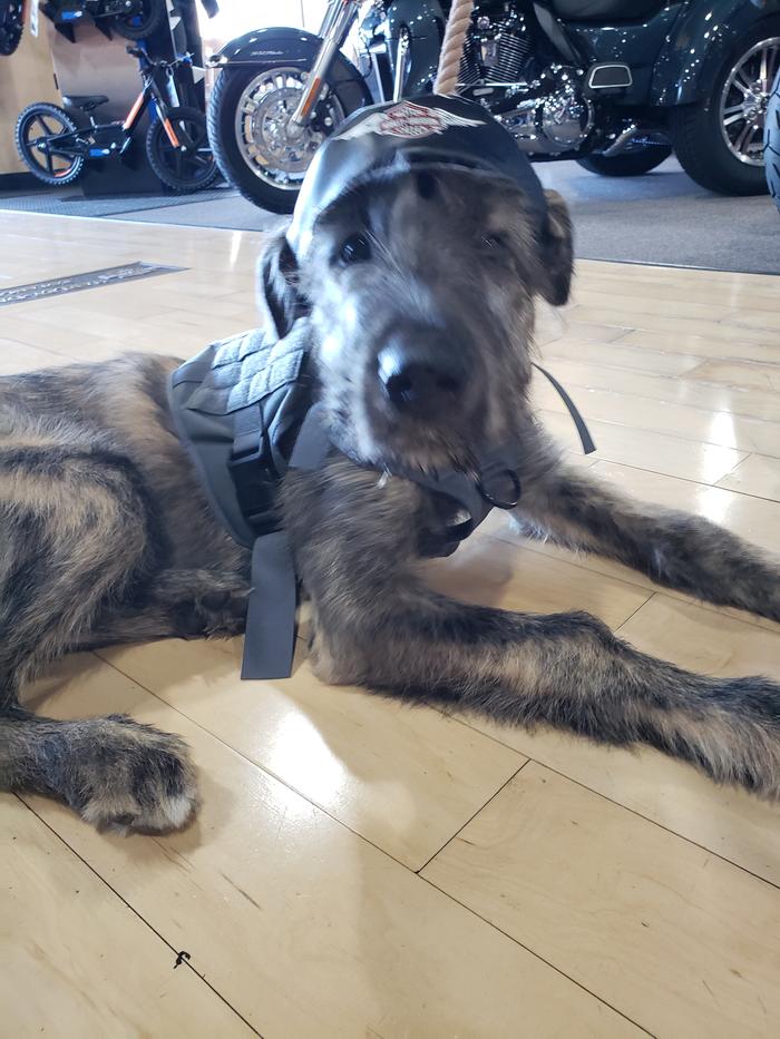 Fifteen weeks old, and just met her new baby sister, and reeeeally not loving the hat!