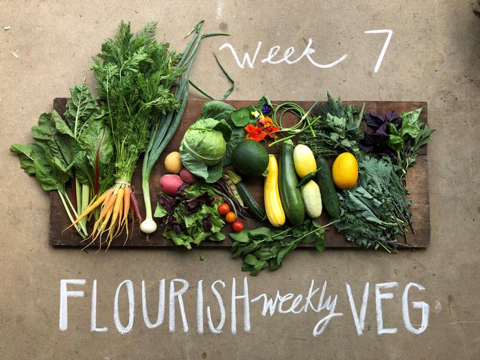 [Thumbnail for flourish-weekly-veg.jpg]