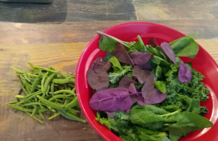 Chard, kale, orach and green beans