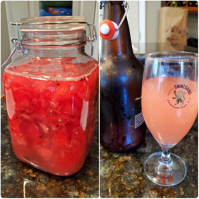 watermellon ginger bug soda