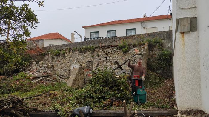 Old stone wall and cleared brush