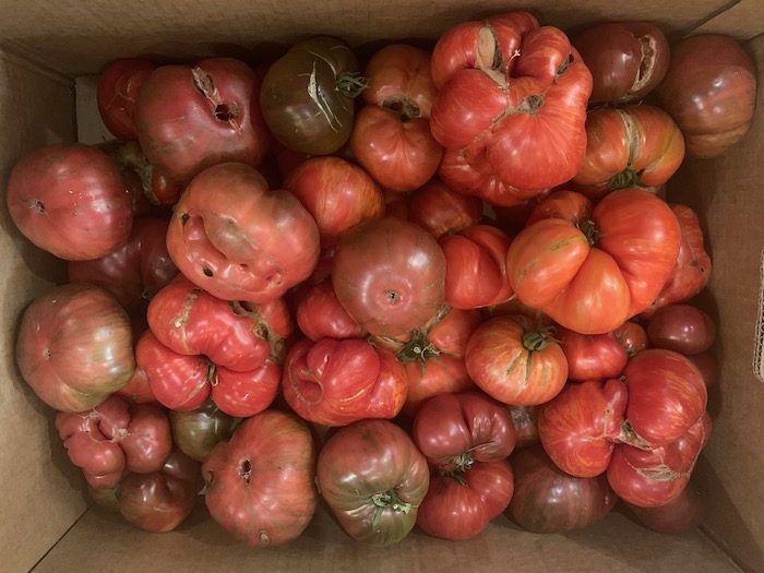 Box of heirloom tomatoes