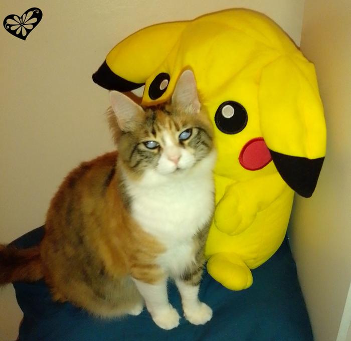 [Thumbnail for Baby-and-Pikachu.jpg]